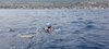 IMG-20230624-WA0018
