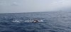 IMG-20230624-WA0028