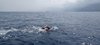 IMG-20230624-WA0011