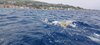 IMG-20230624-WA0017
