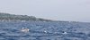 IMG-20230624-WA0023