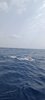 IMG-20230624-WA0009