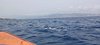 IMG-20230624-WA0015
