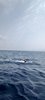 IMG-20230624-WA0030