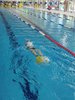 IMG-20240518-WA0070