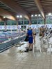 IMG-20240210-WA0033
