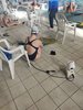 IMG-20231217-WA0151
