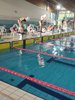 IMG-20231217-WA0142