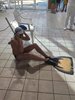 IMG-20231217-WA0099