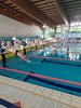 IMG-20231217-WA0143