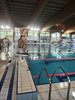 IMG-20231217-WA0156