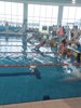 IMG-20240224-WA0074