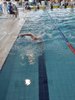 IMG-20240225-WA0007