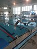IMG-20250223-WA0016