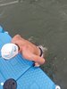 IMG-20250726-WA0008