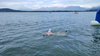 IMG-20250726-WA0033