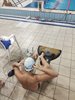 IMG-20241215-WA0039
