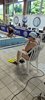 IMG-20250525-WA0043