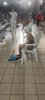 IMG-20251214-WA0003