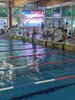 IMG-20250511-WA0113