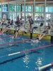 IMG-20250511-WA0134