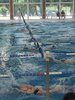 IMG-20250511-WA0130