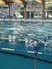 IMG-20250216-WA0077