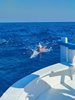 IMG-20250719-WA0229