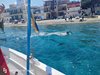 IMG-20250719-WA0235