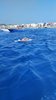 IMG-20250719-WA0242