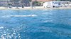 IMG-20250719-WA0233