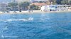 IMG-20250719-WA0232