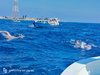 IMG-20250719-WA0213