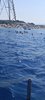 IMG-20250719-WA0133