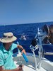 IMG-20250719-WA0230