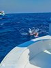 IMG-20250719-WA0227