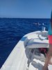 IMG-20250719-WA0212
