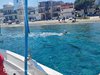 IMG-20250719-WA0234