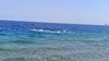 IMG-20250717-WA0025