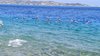 IMG-20250719-WA0167