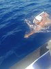 IMG-20250719-WA0207