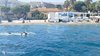 IMG-20250719-WA0237