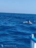 IMG-20250719-WA0215