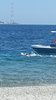 IMG-20250719-WA0183