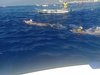 IMG-20250719-WA0206