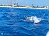 IMG-20250719-WA0225