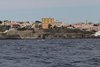 IMG_0619