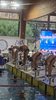 IMG-20260321-WA0005