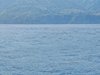 IMG_20260717_094403