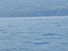 IMG_20260717_094404